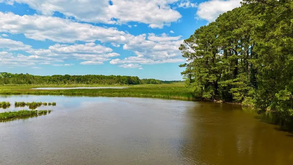 Property from Lot 2A Miles Rd #2A - KW - New Church, Virginia, 23415