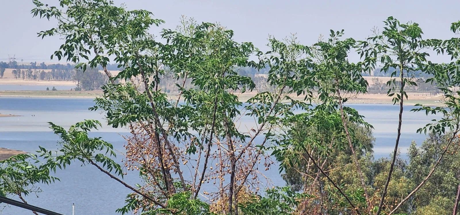 Land for Sale in Vaal Marina, Gauteng - land for sale