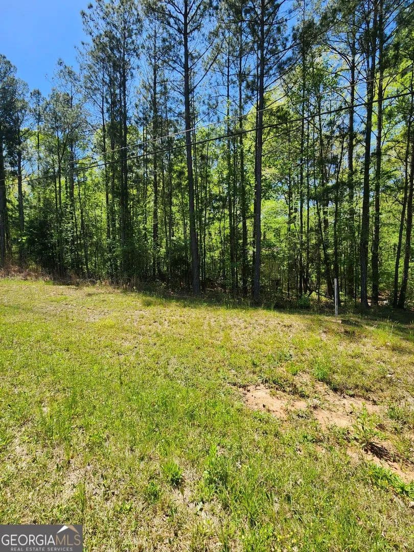 Vacant Land in Covington - land for sale