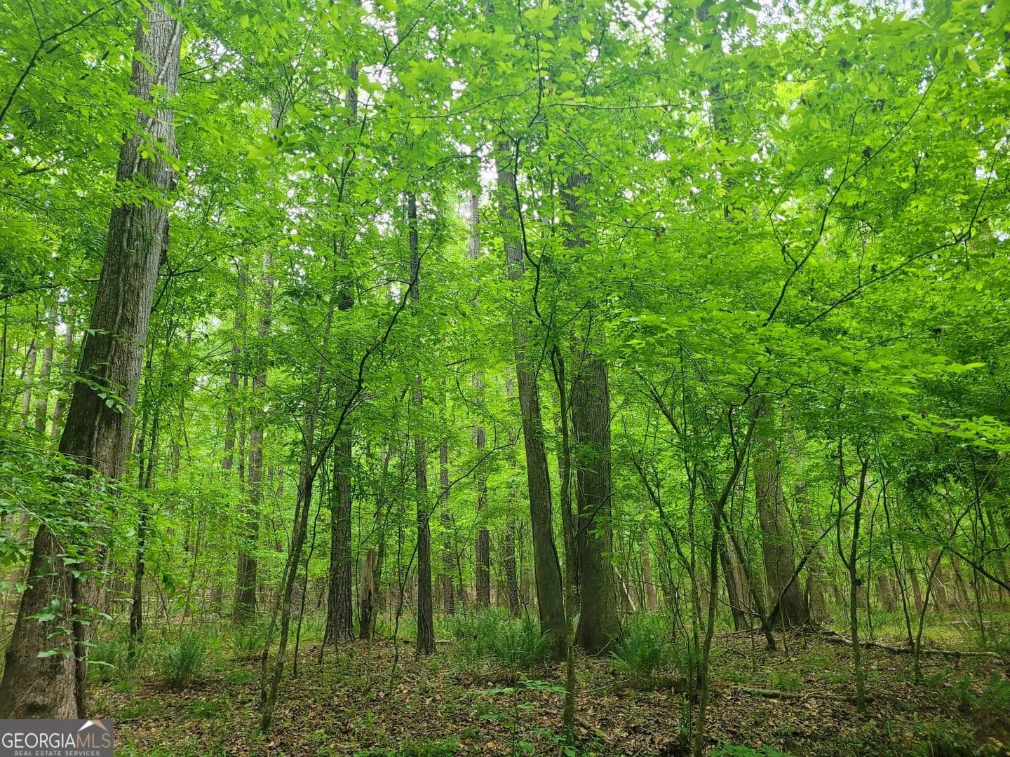 Property from 0 Fincherville Rd #TRACT #2 - KW - Jackson, Georgia, 30233