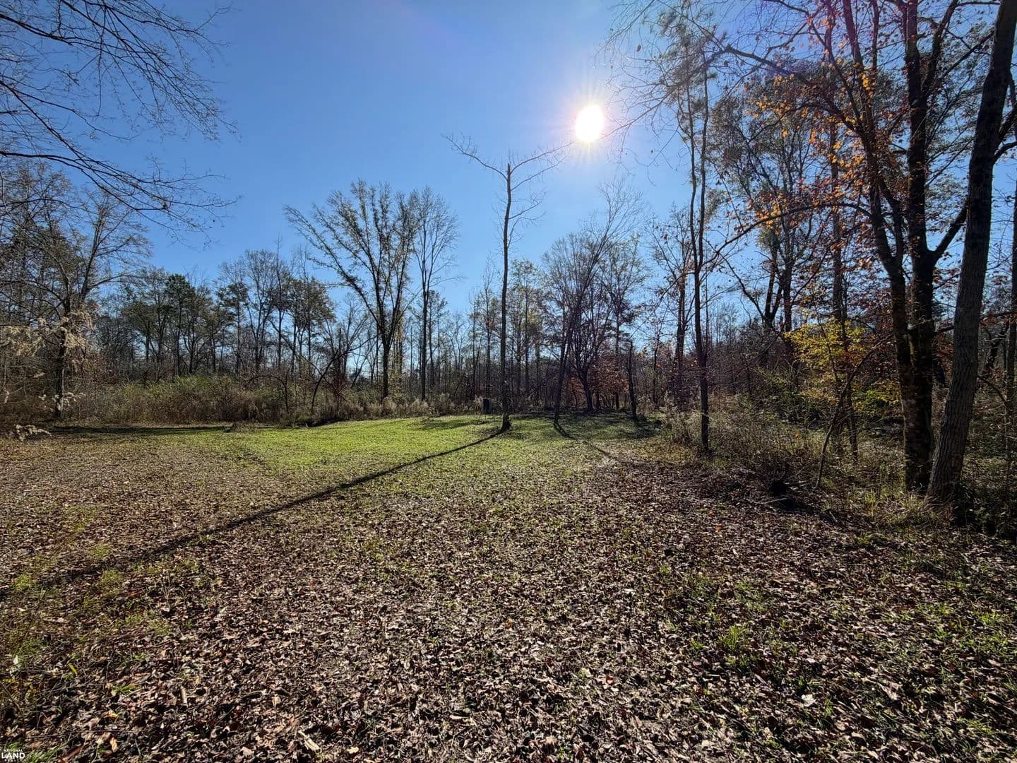 Horse Creek Recreational and Timber Tract - Luverne, Alabama, 36049