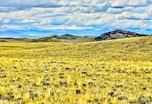 5 Acres of Land for Sale in Hartsel, CO - Hartsel, Colorado, 80449