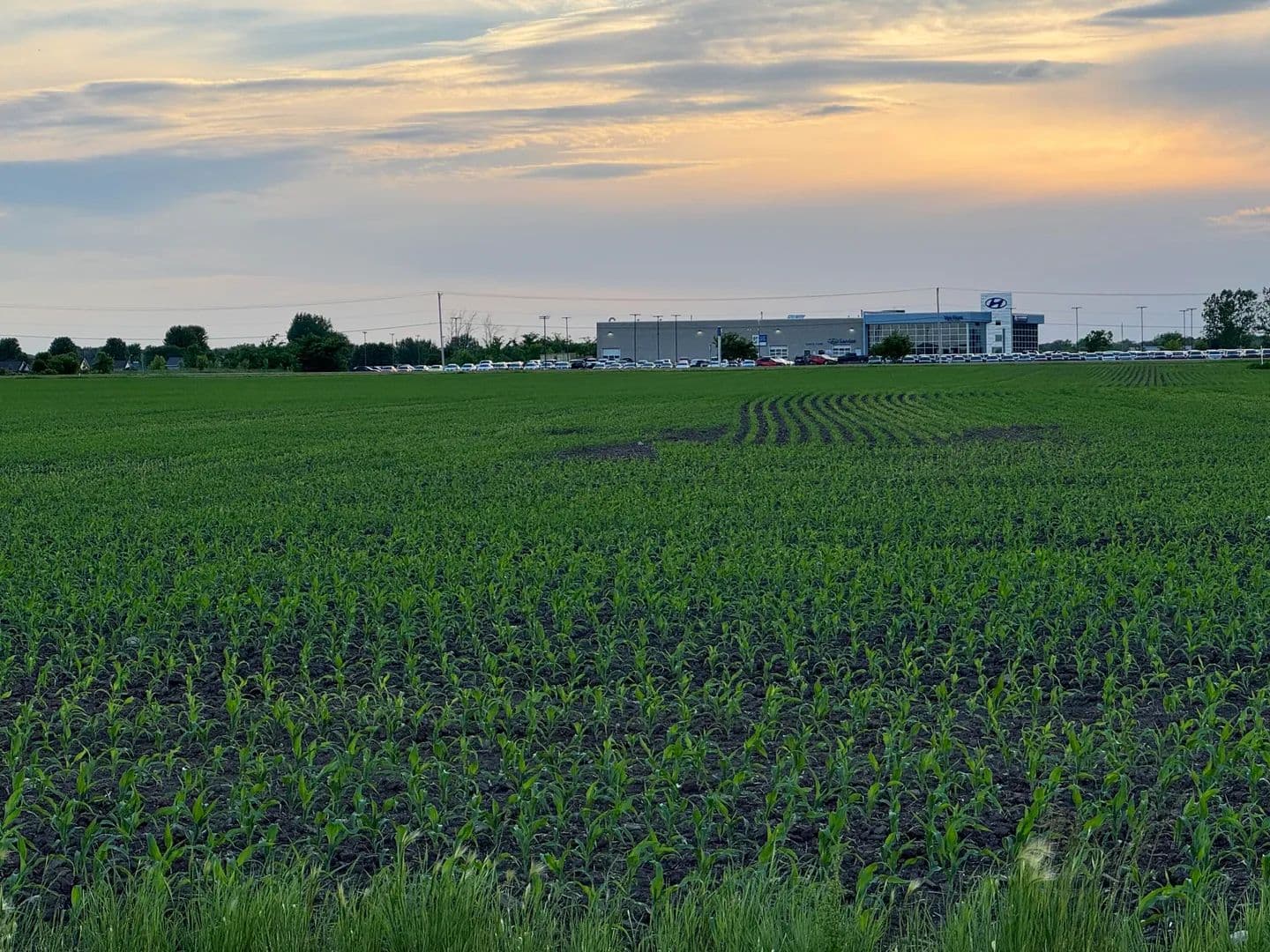 8.71 Acres of Land for Sale in Fond Du Lac, Wisconsin - Fond Du Lac, Wisconsin, 54937