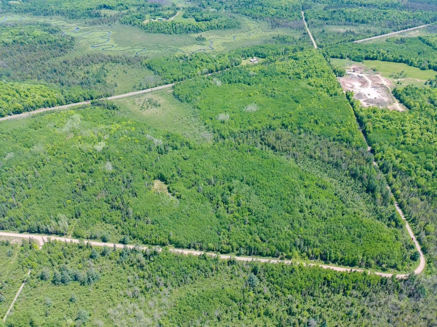 Hunting Land & Mature Hardwood Timber in Ashland County, WI - Glidden, Wisconsin, 54527