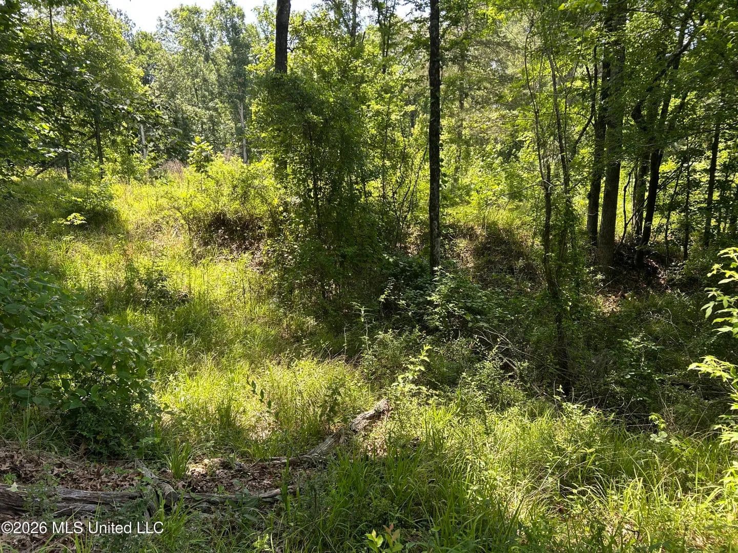 Property from Sleepy Hollow Road - KW - Terry, Mississippi, 39170
