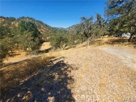 Vacant Land in Paso Robles - Paso Robles, California, 93446