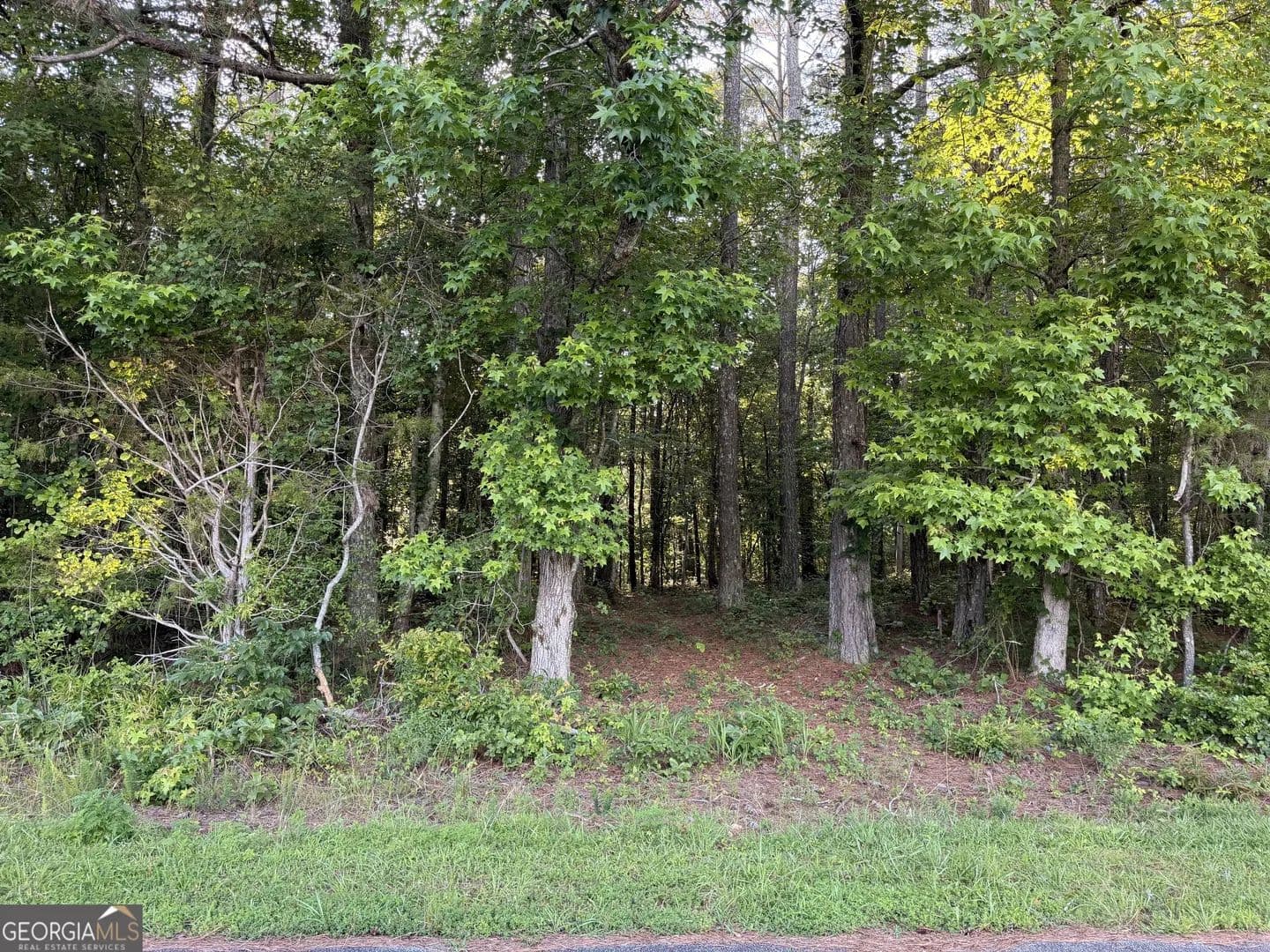 6.08 Acres of Land for Sale in Buchanan, GA - Buchanan, Georgia, 30113