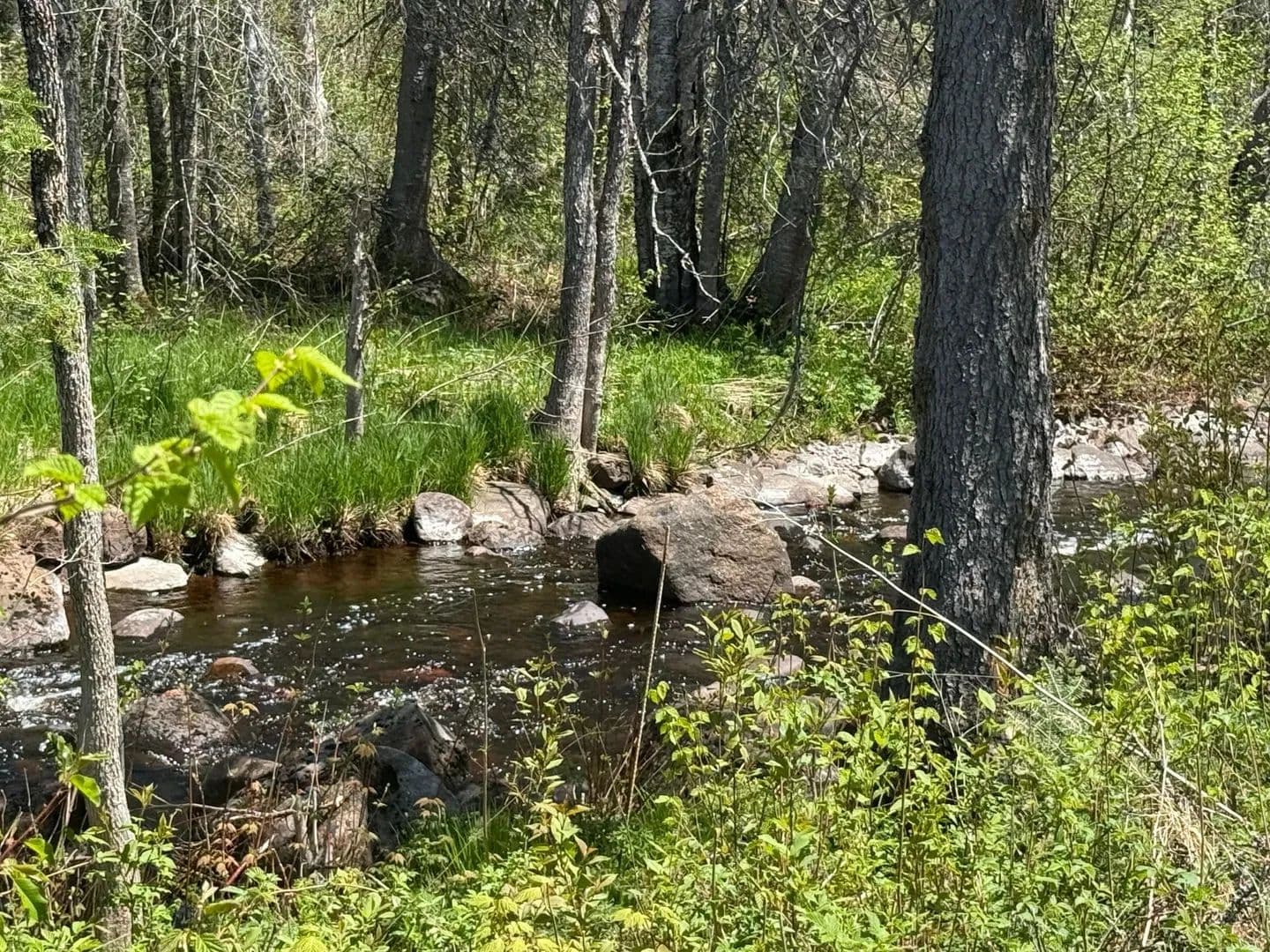 Property from TBD Crown Creek Spur Rd - KW - Finland, Minnesota, 55603