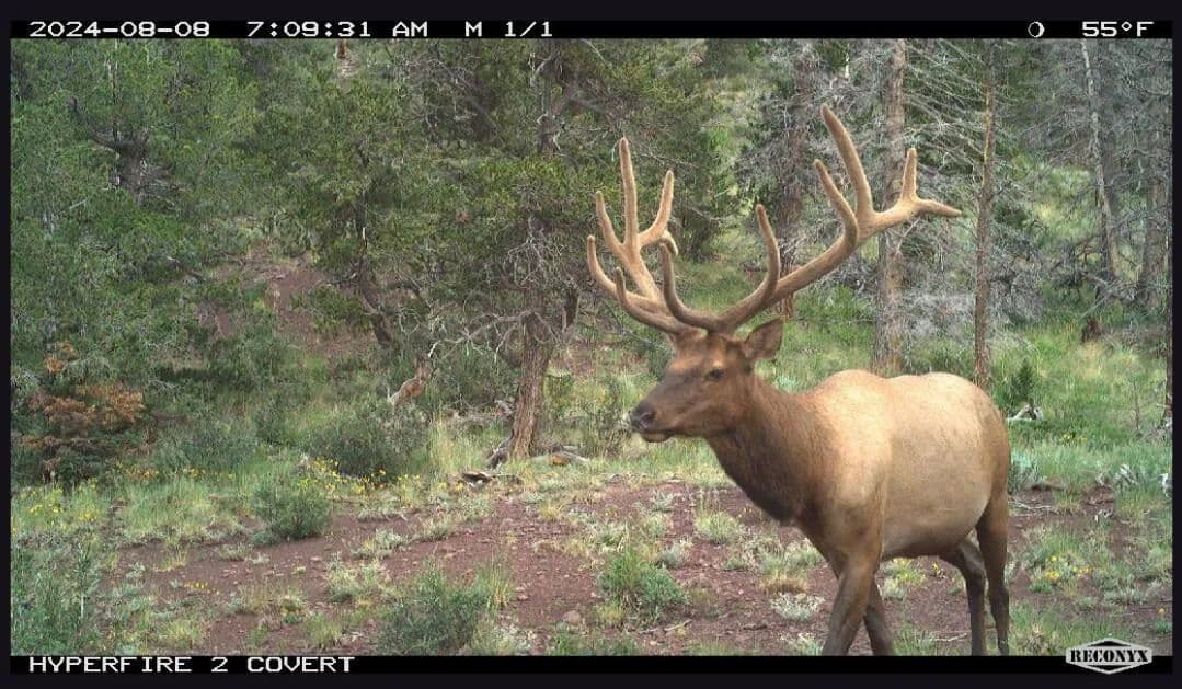 TBD Spanish Peaks Ranch Estates 1, Aguilar, CO 81020 - Aguilar, Colorado, 81020