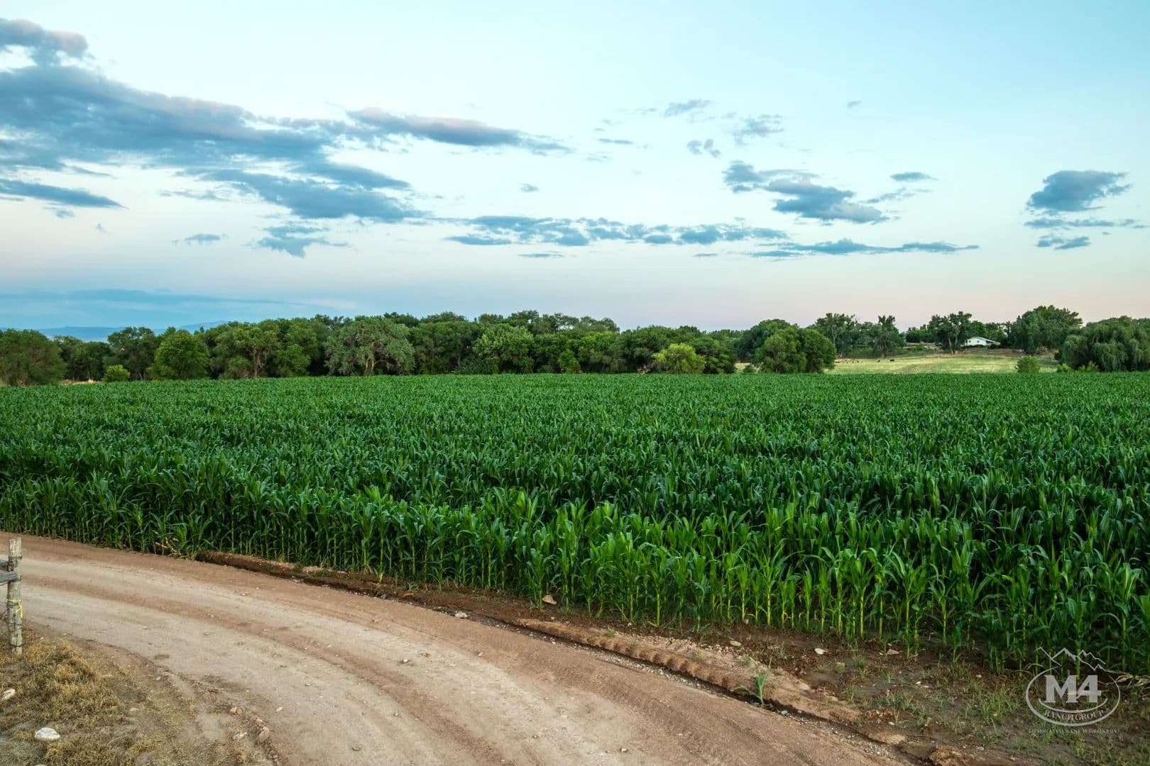 Nelson Farm - Olathe, Colorado, 81425