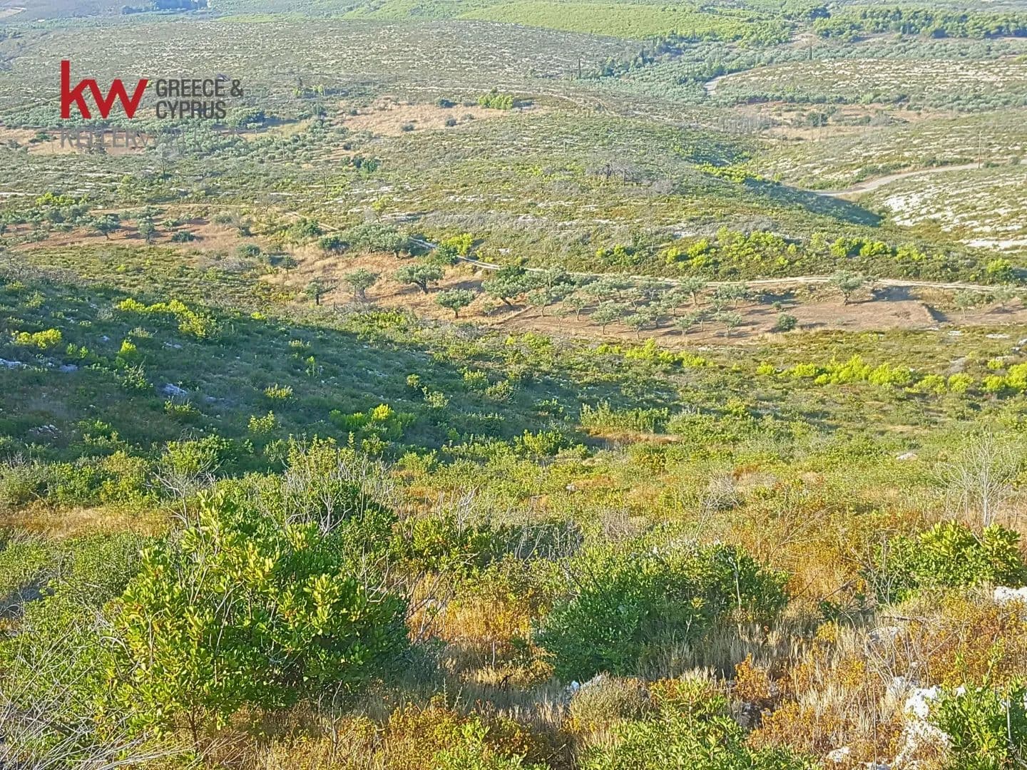 Land for Sale in Elatio, Zante - land for sale