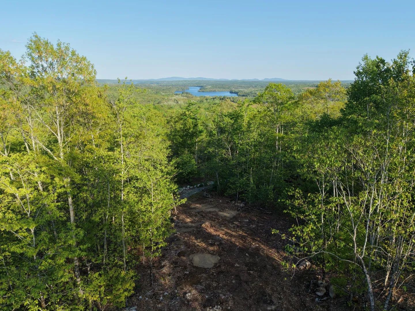 21.4 Acres of Land for Sale in Orland, Maine - Orland, Maine, 04472