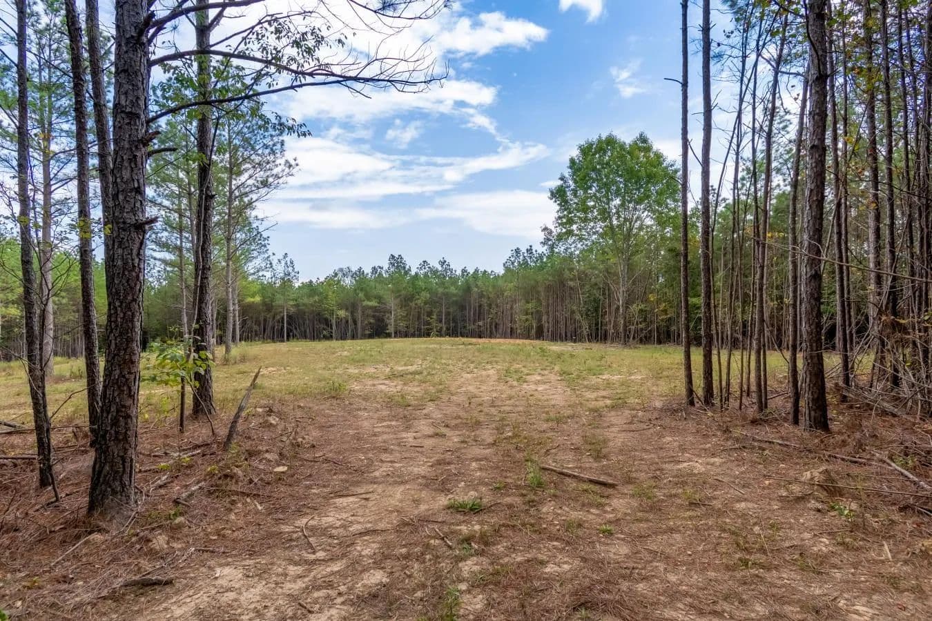 0 Old Mail Road - Duck River, Tennessee, 38454