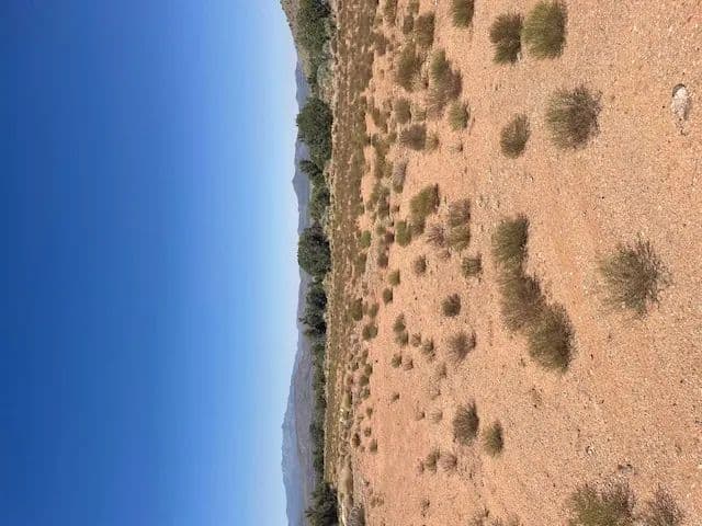 Property from 353-30-042 INDIAN RICE Road - KW - Kingman, Arizona, 86401