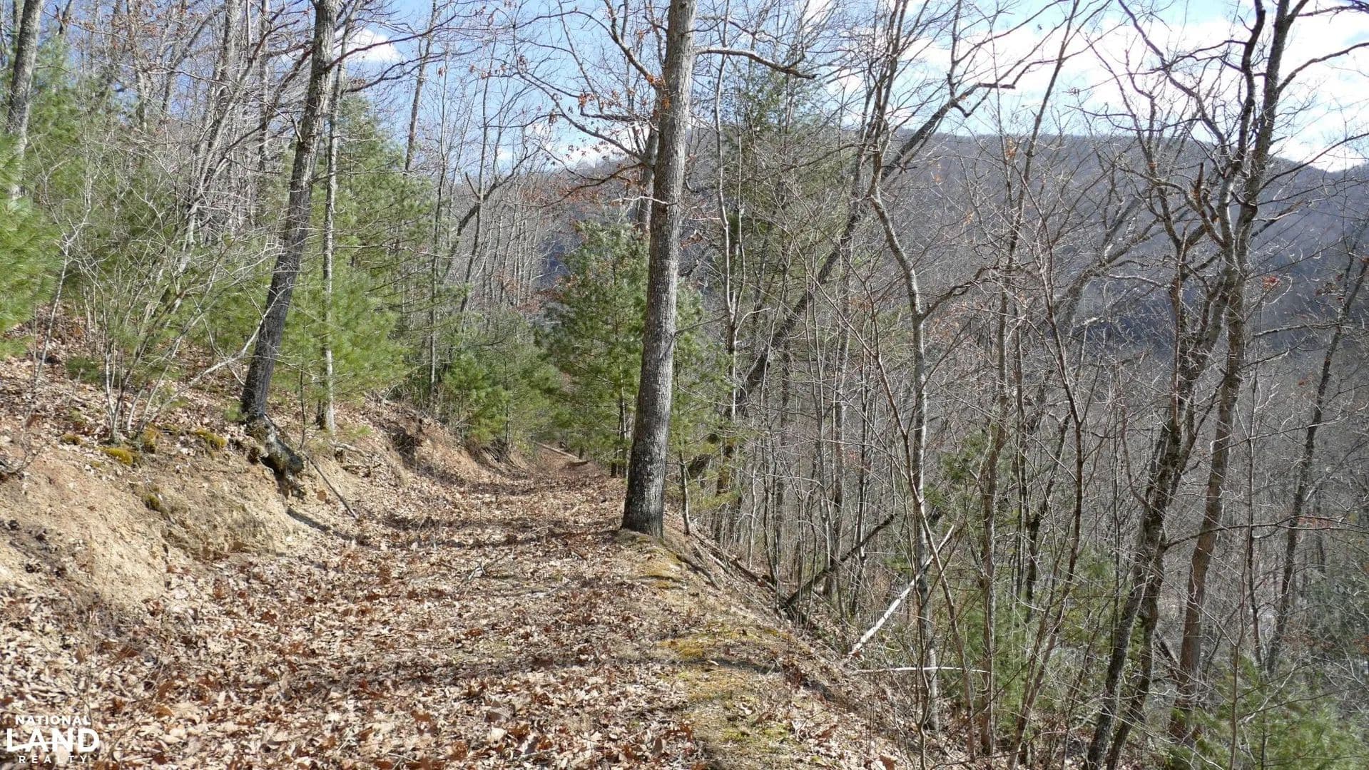 Secluded 10 Acre Cabin Site- Lot 1 - Monterey, Virginia, 24465