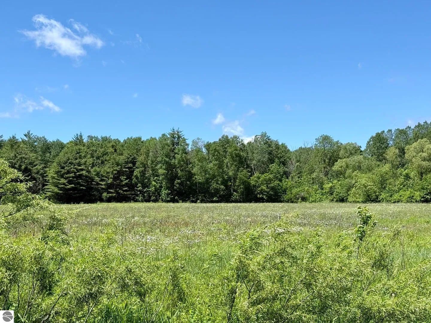 Property from V/L 5th Avenue - KW - Marion, Michigan, 49665