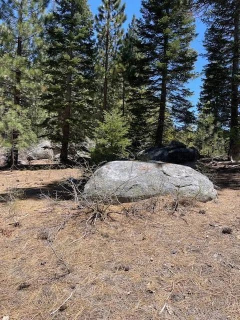 Property from 58303 Carter Drive - KW - Ponderosa, California, 93265