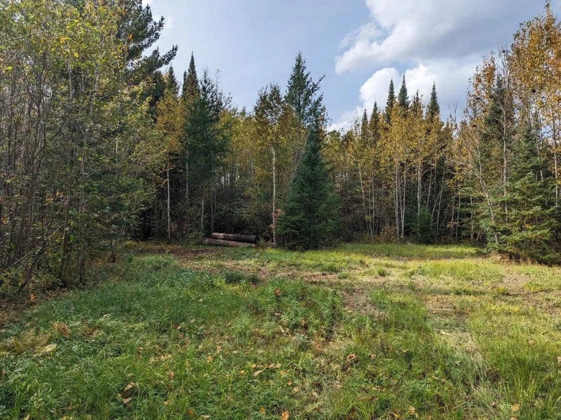 36.97 Acres of Land for Sale in Littlefork, MN - Littlefork, Minnesota, 56653