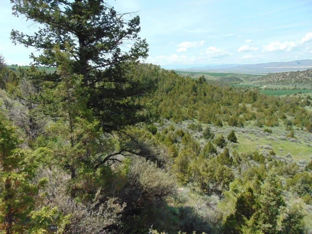 10 Acres of Land for Sale in Three Forks, MT - Three Forks, Montana, 59752