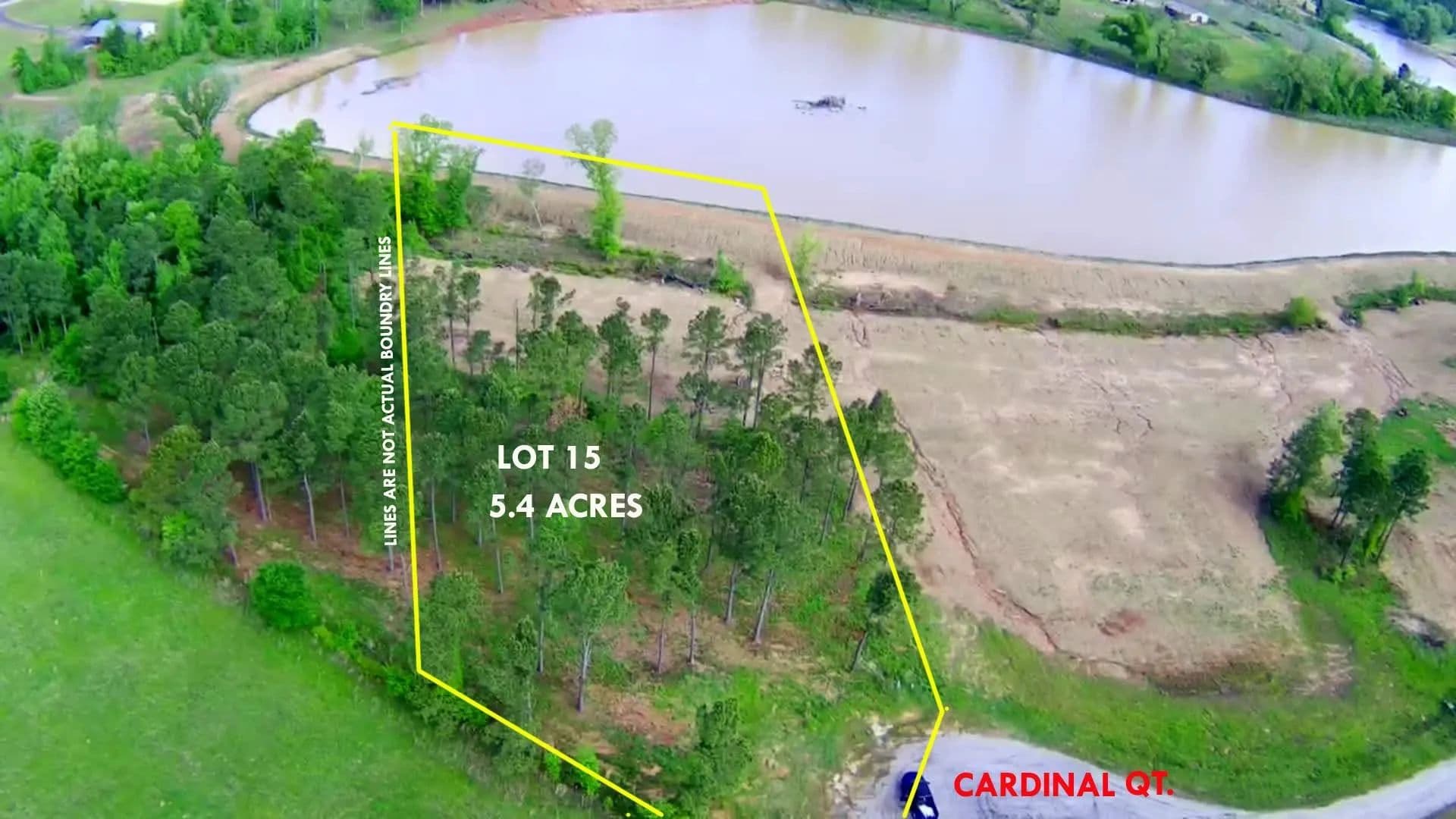 Vacant Land in Diana - Diana, Texas, 75640