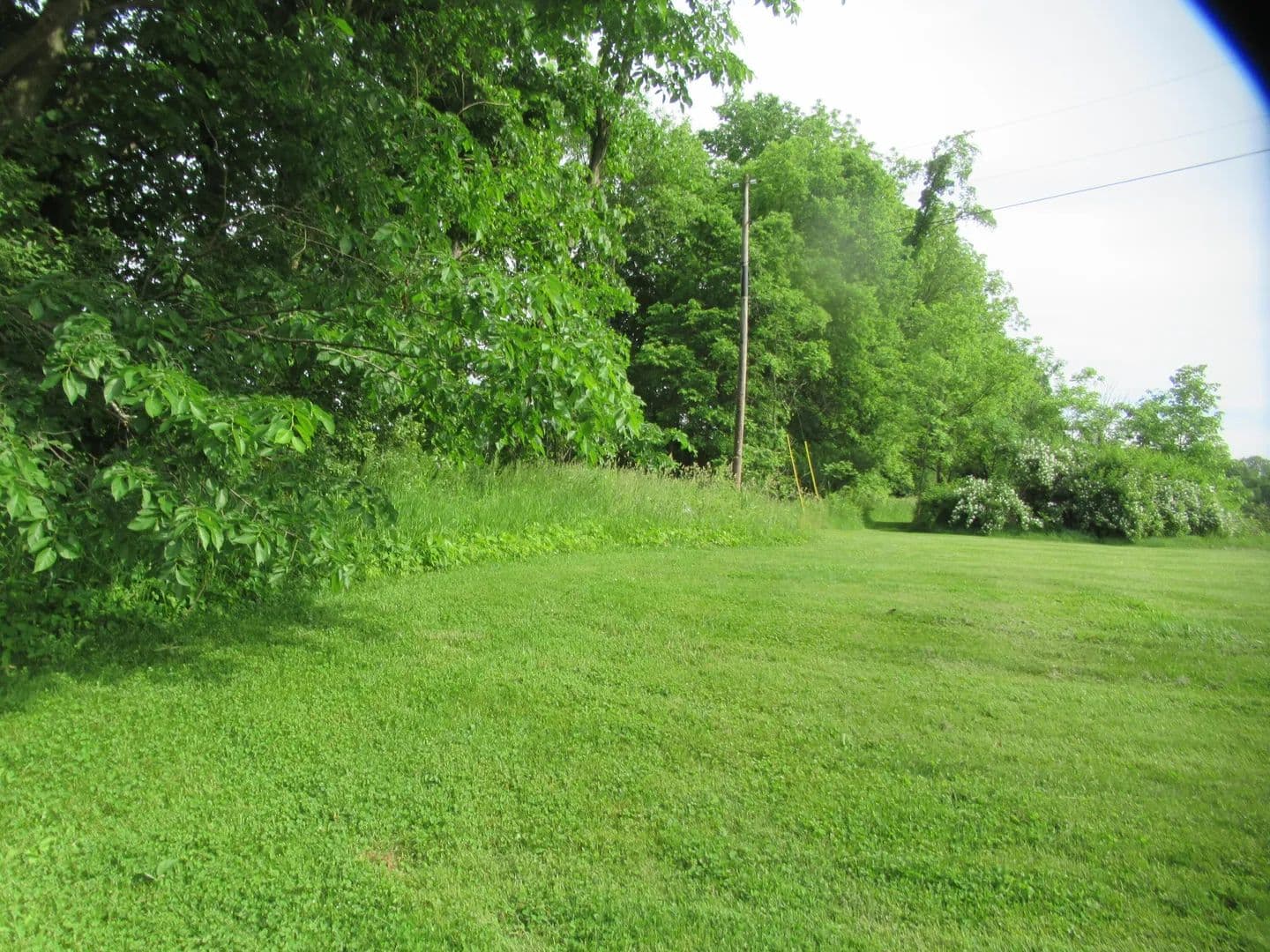 Property from Williamsville Street - KW - Cassopolis, Michigan, 49031