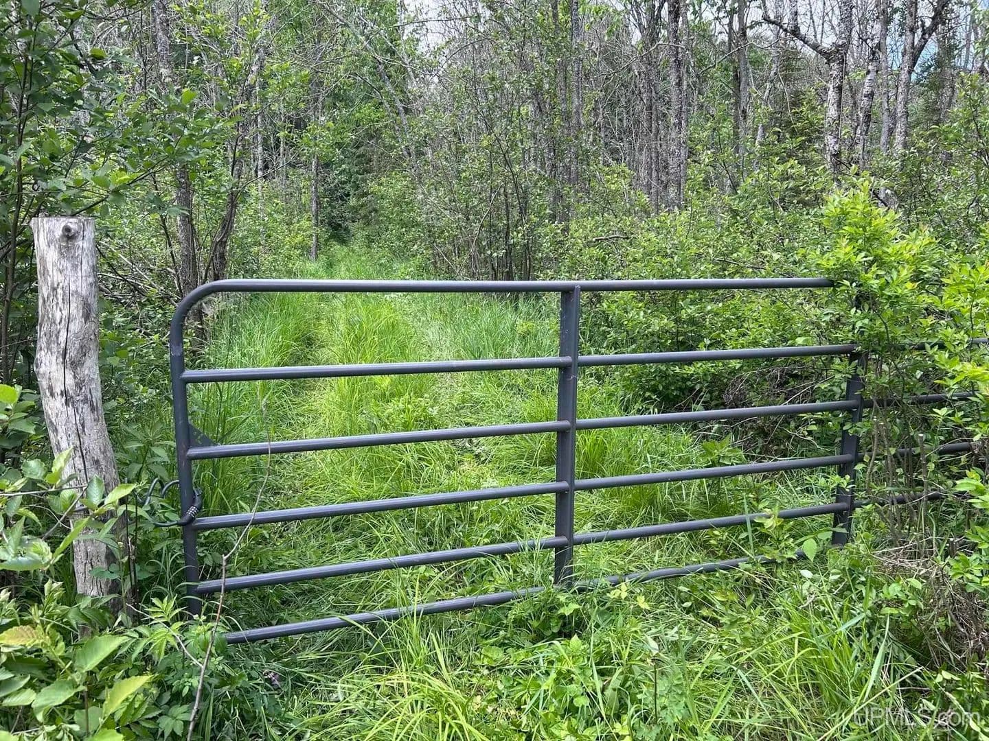 20 Acres of Land for Sale in Bessemer, MI - Bessemer, Michigan, 49911