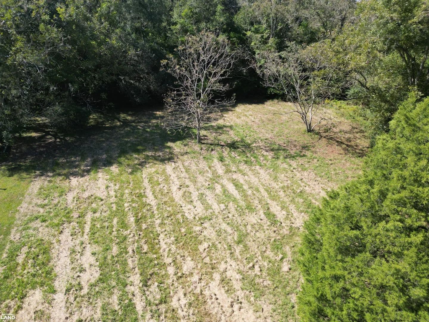 Faith Avenue Homesite - Eight Mile, Alabama, 36613