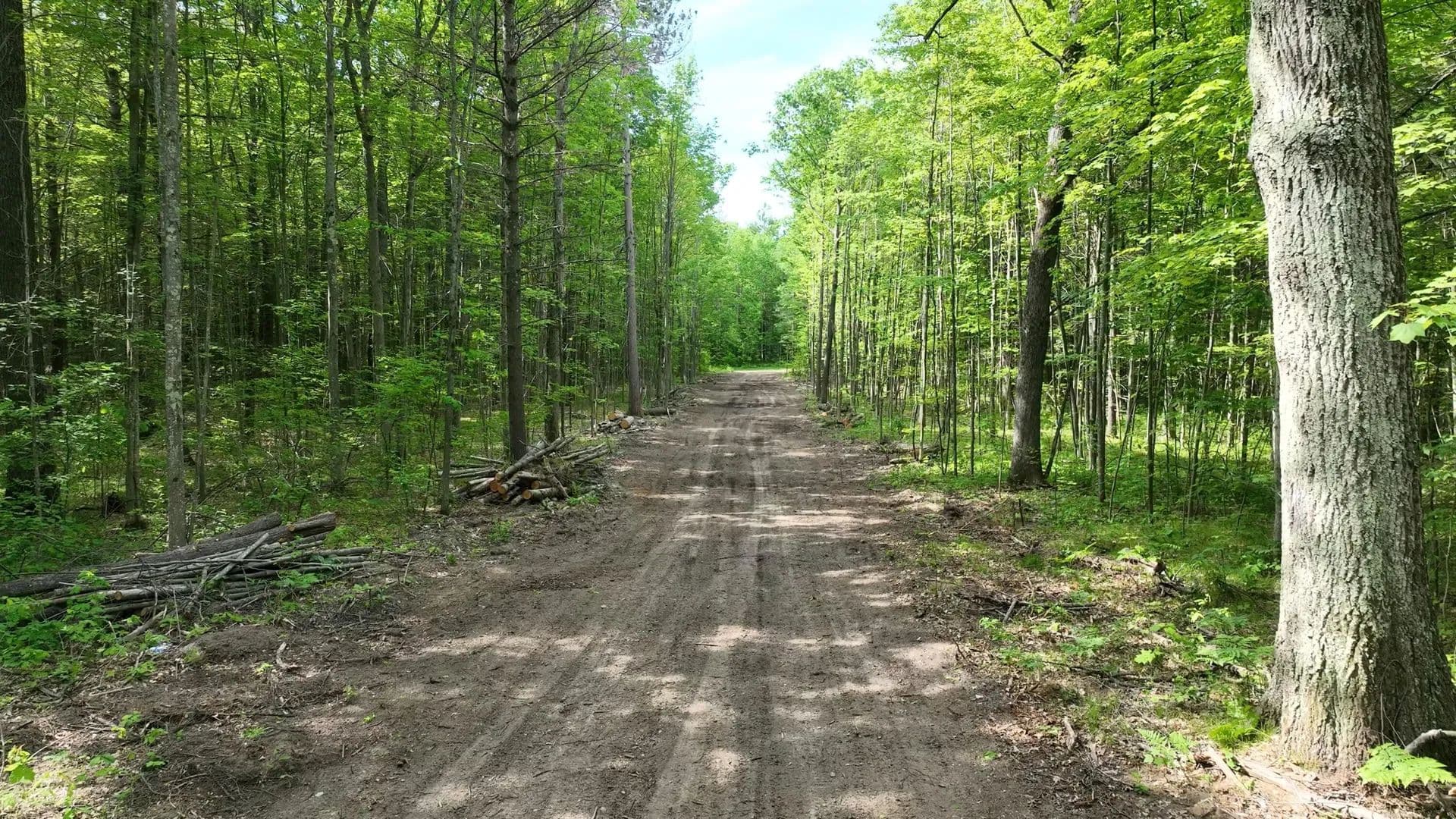 0.98 Acres of Land for Sale in Roscommon, Michigan - Roscommon, Michigan, 48653