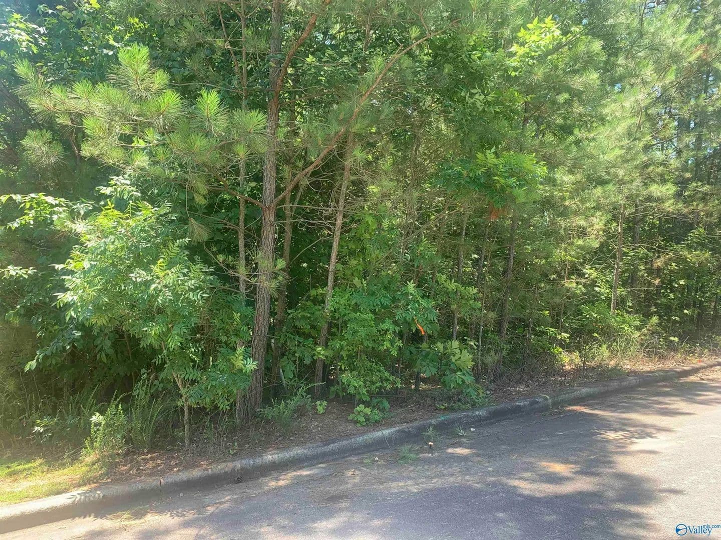 Property from LOT 33 Cade Circle #LOT 33 - KW - Leesburg, Alabama, 35983