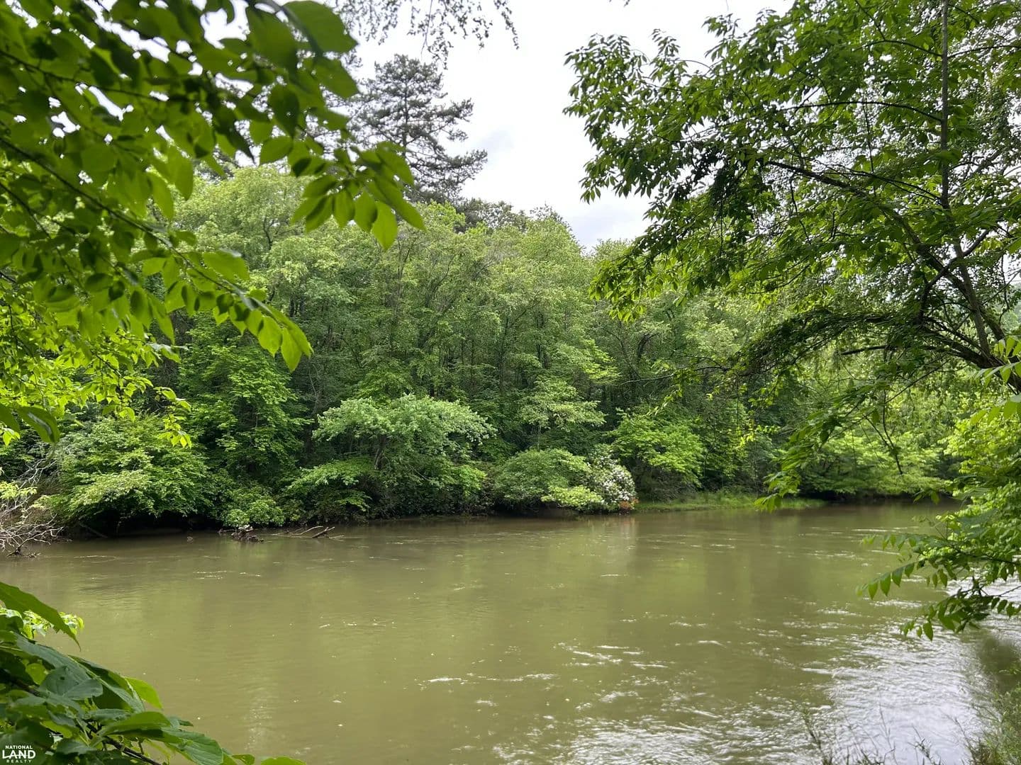 Toccoa Riverfront acreage - Mineral Bluff, Georgia, 30559