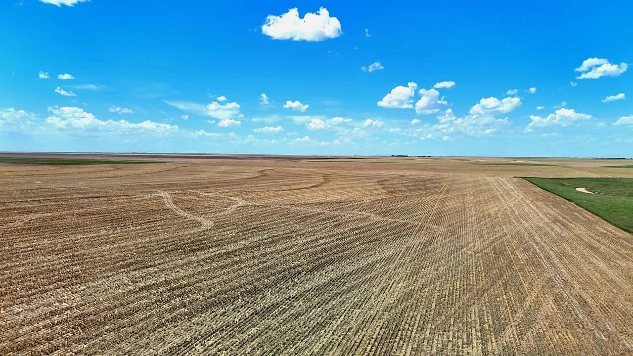 County Line Cropland Parcel with Good Soils - Anton, Colorado, 80801