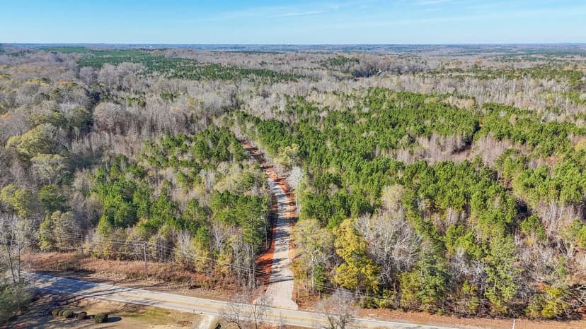 14± Unrestricted Acres Just Off Hwy 280 | Opelika Area, Lee County, AL