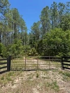 40 Acres of Land for Sale in OLD TOWN, FL - Old Town, Florida, 32680