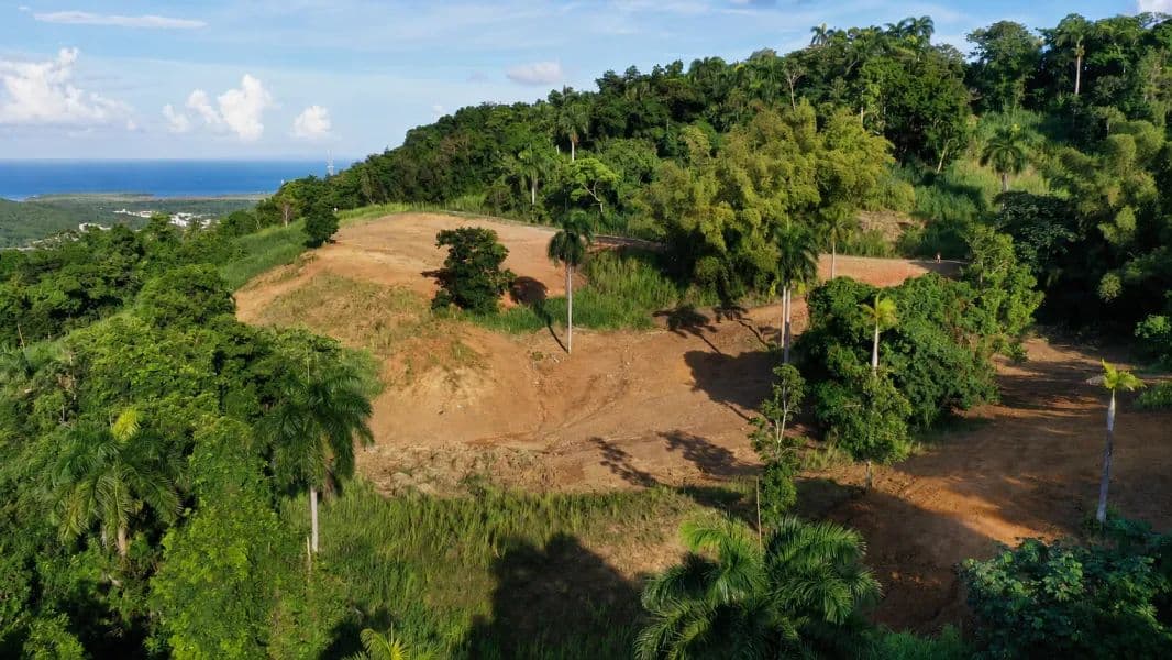 19847 Acres of Land for Sale in Ceiba - land for sale