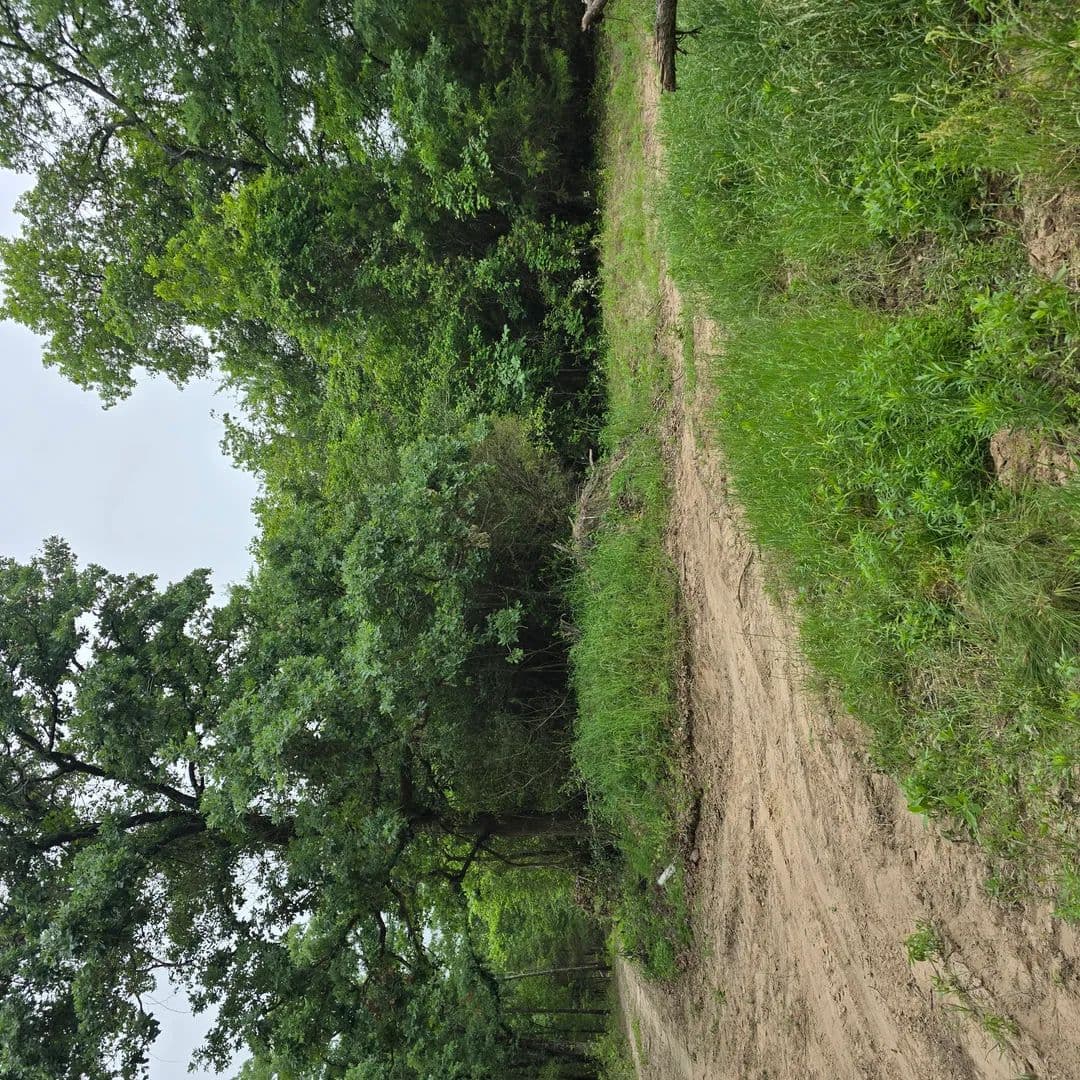 Land -Single Family Acreage in Mabank - Mabank, Texas, 75156