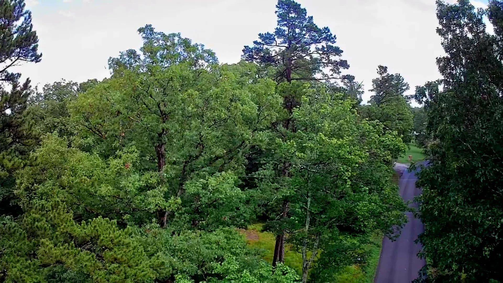 1.67 Acres of Land for Sale in South Pittsburg, TN - South Pittsburg, Tennessee, 37380