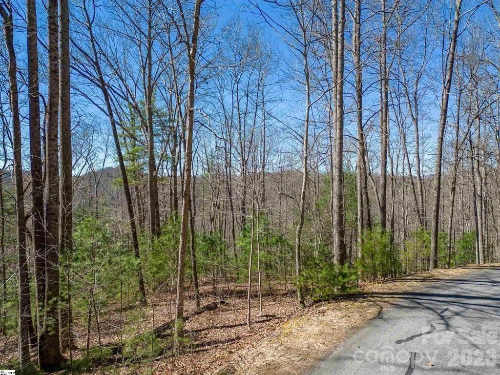 4.23 Acres of Land for Sale in Hendersonville, NC - Hendersonville, North Carolina, 28792