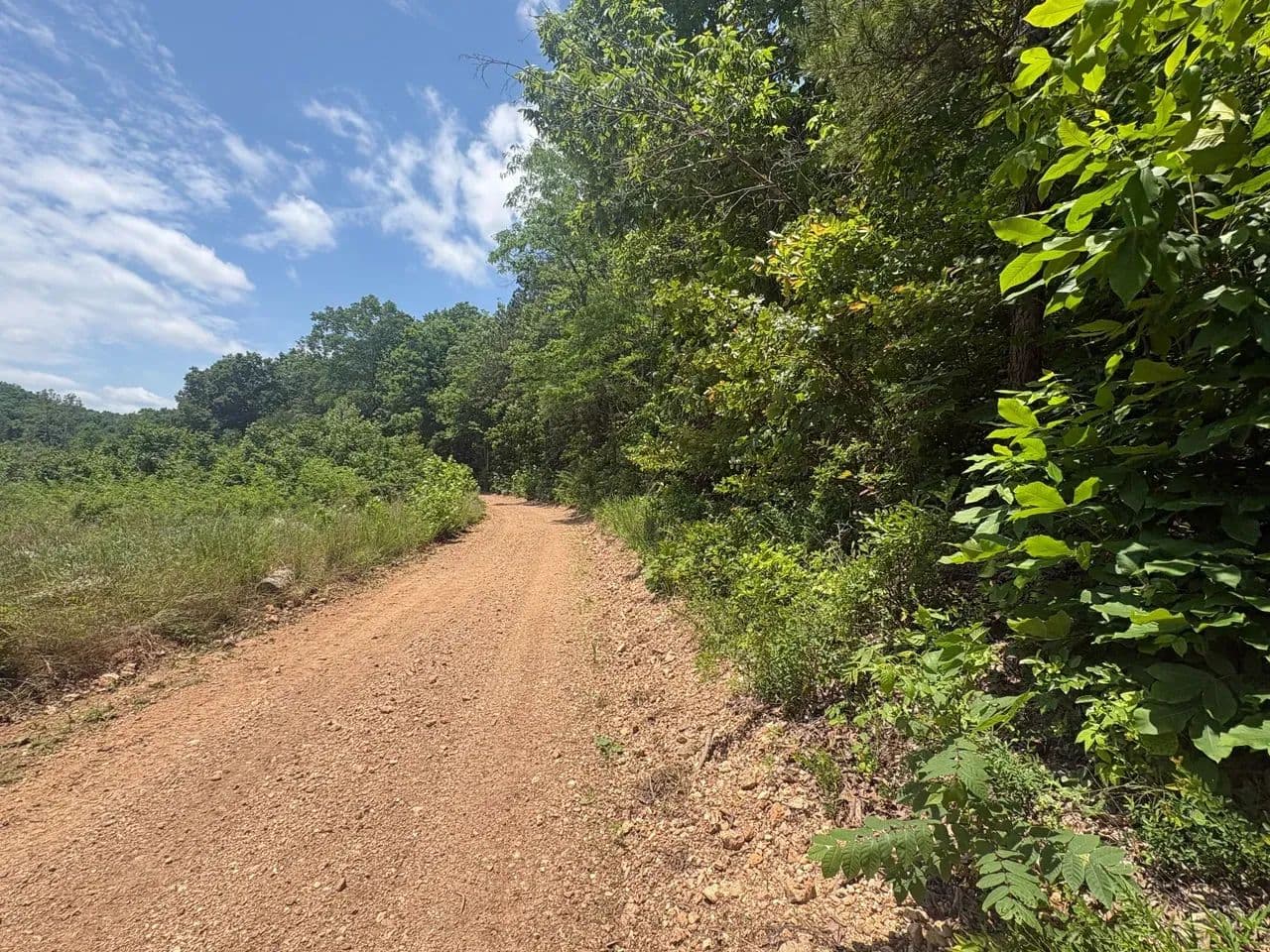 80±AC of Prime Hunting Land in Reynolds Co. - land for sale