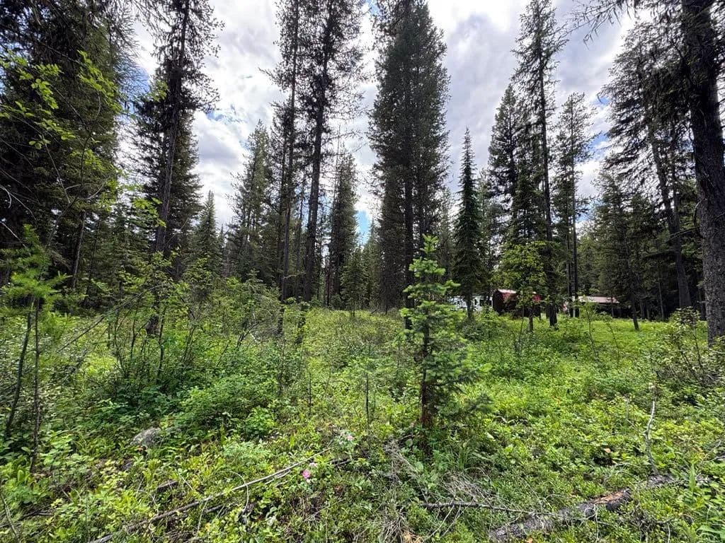 Property from 768 Deep Woods Trail - KW - Polebridge, Montana, 59928