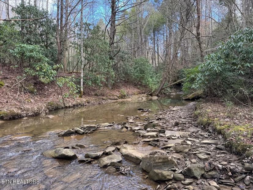 Lots & Land-Other in Pineville