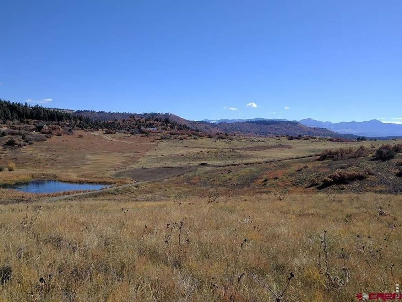 Property from 919 Roush Dr - KW - Pagosa Springs, Colorado, 81147