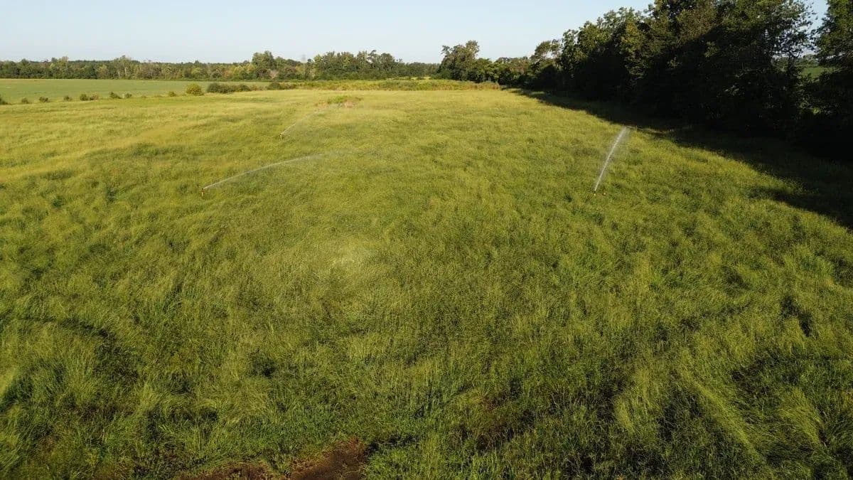 Cooperville Farmstead - land for sale