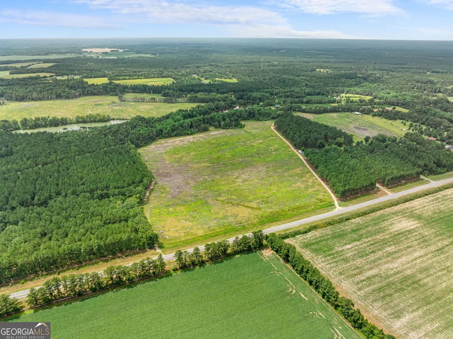 Vacant Land in Statesboro - land for sale