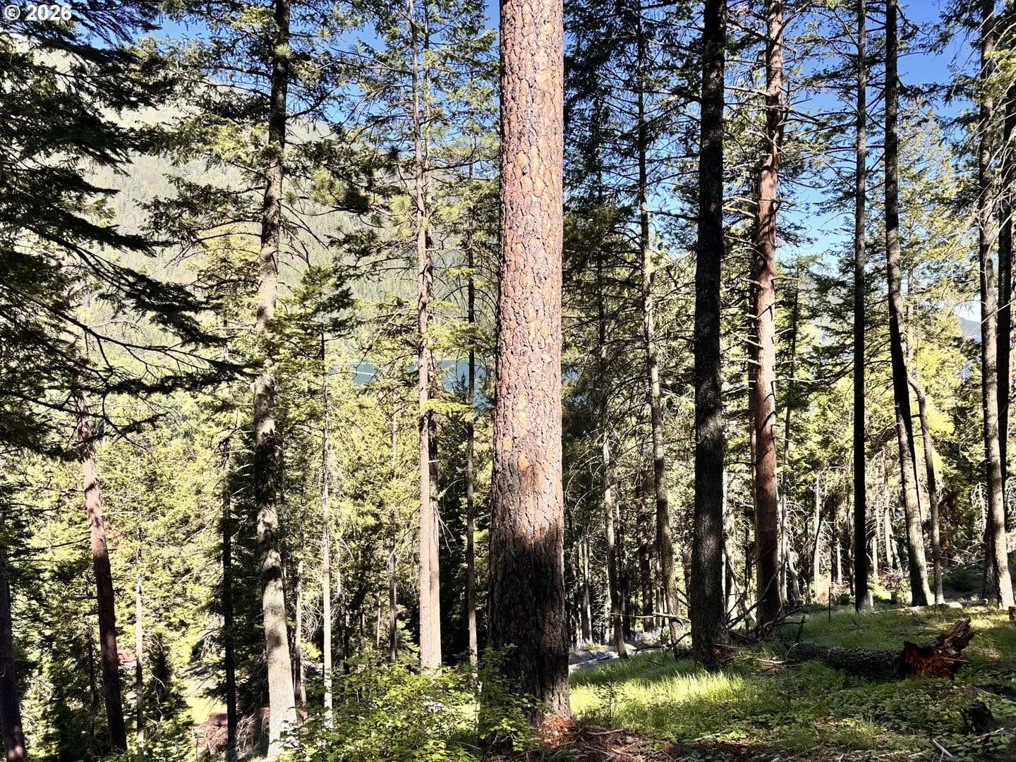 Land for Sale in Joseph, OR - Joseph, Oregon, 97846