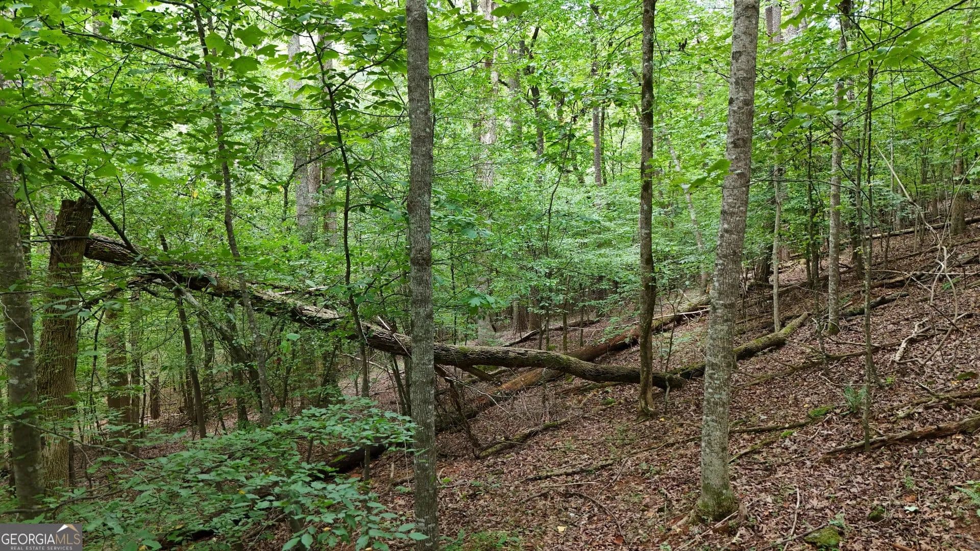 Property from LOT 16 Morris Trail - KW - Cleveland, Georgia, 30528