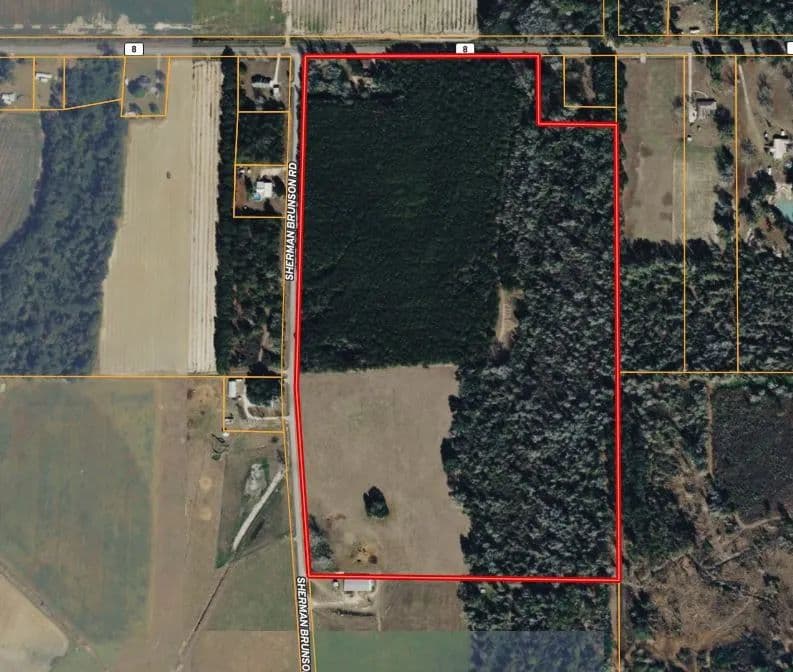 15 Acres in Pansey, AL | Planted Pines & Privacy - Pansey, Alabama, 36370