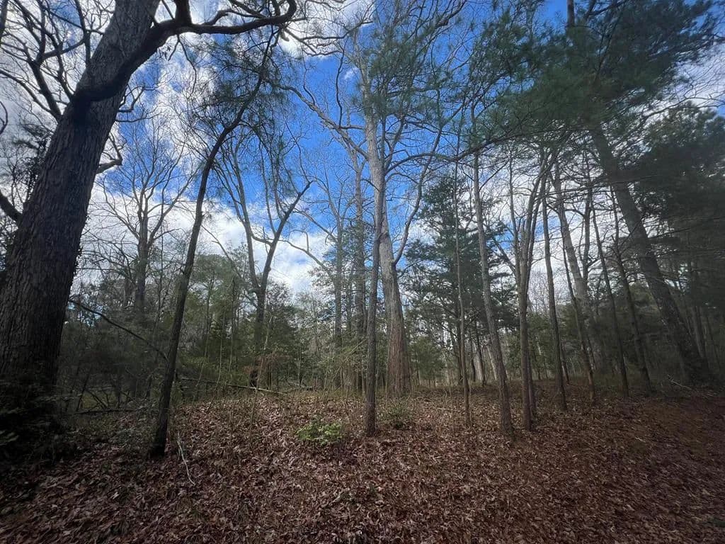 Land -Single Family Acreage in Eastville - Eastville, Virginia, 23347