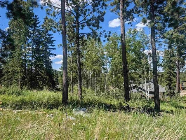 Vacant Land (0-10 Acres) in Lead - land for sale