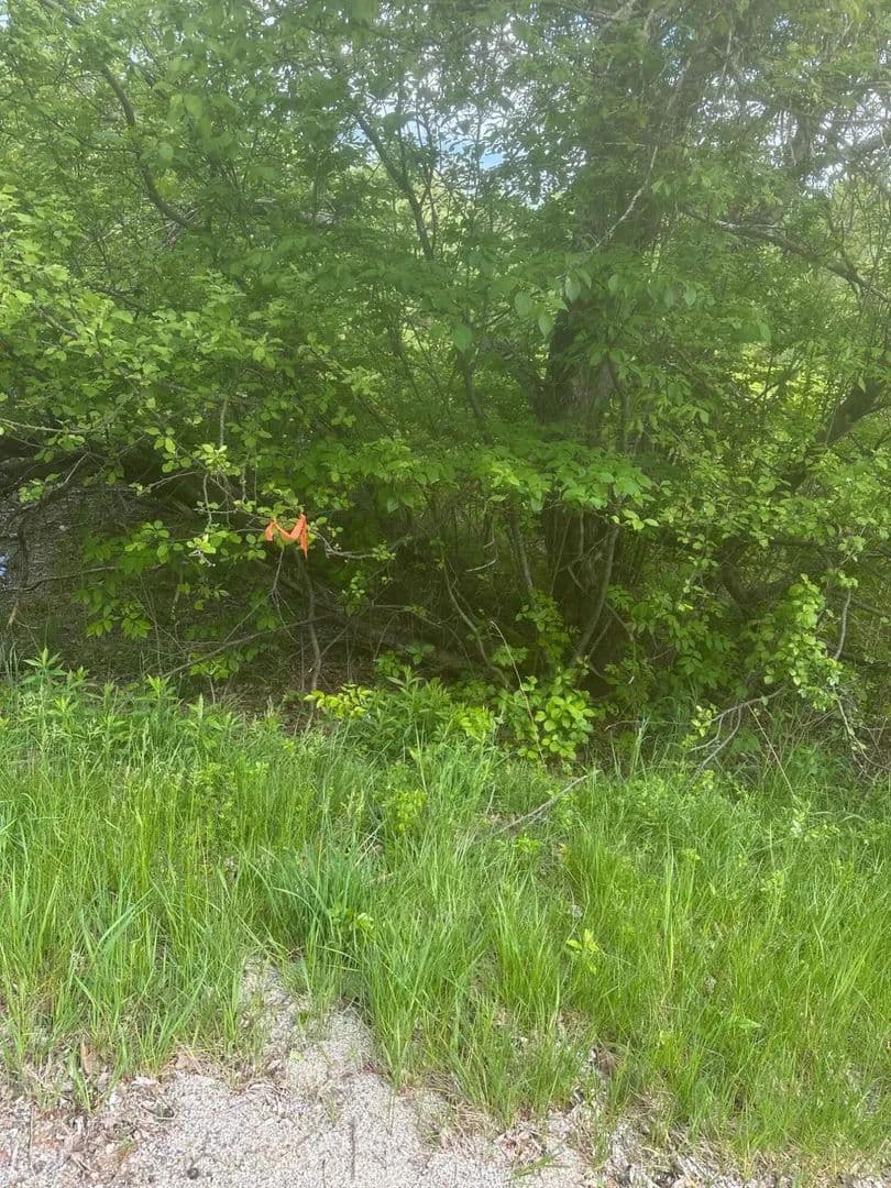 5.22 Acres of Land for Sale in Steuben, Maine - Steuben, Maine, 04680