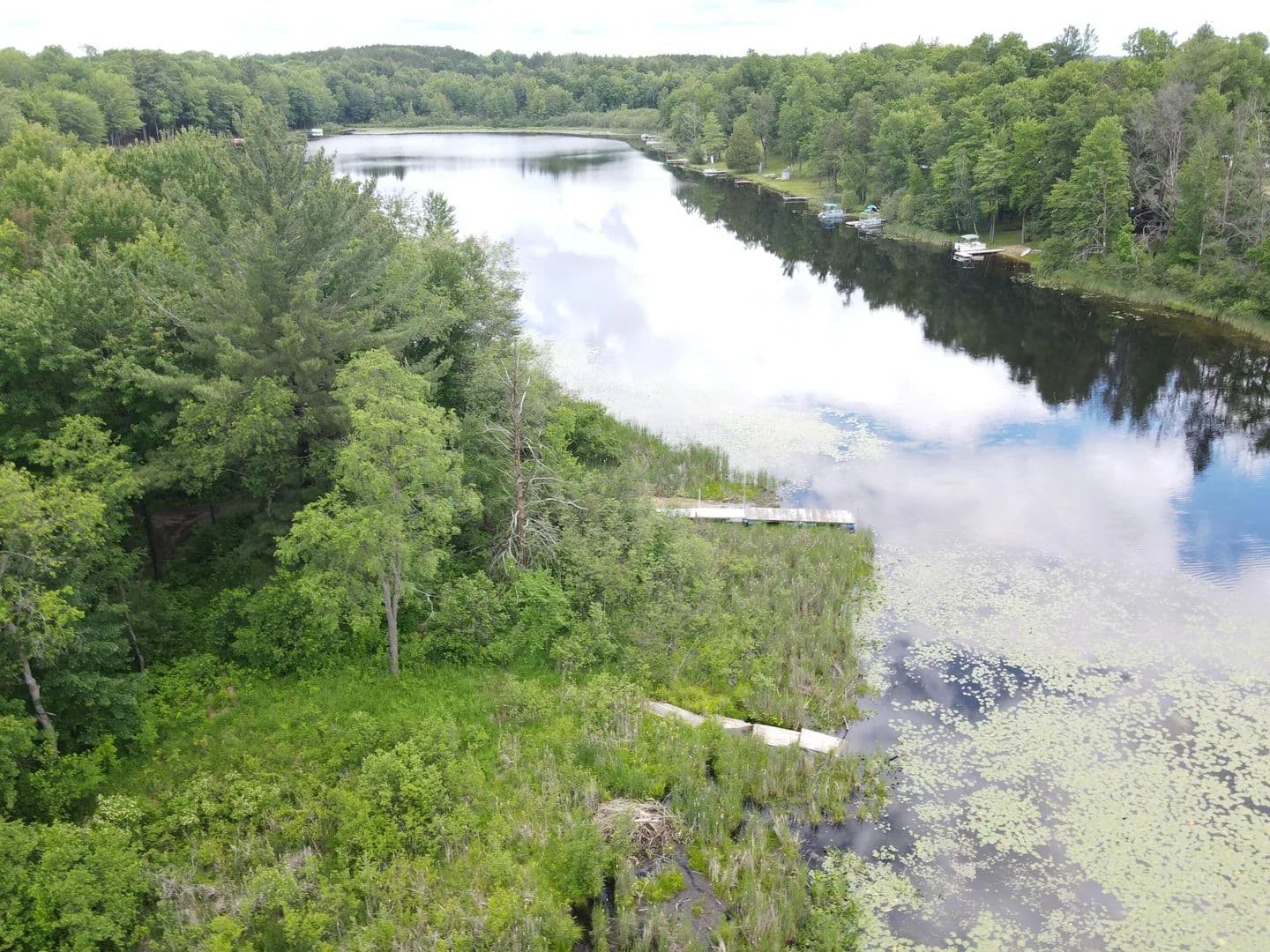 23.22 Acres of Land for Sale in Harrison, MI - Harrison, Michigan, 48625